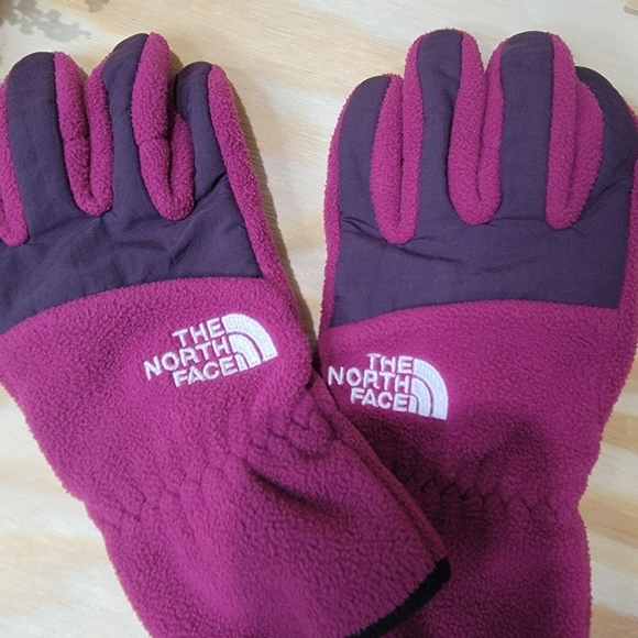 The North Face Accessories - North Face Gloves